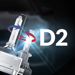 D2