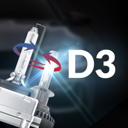 D3