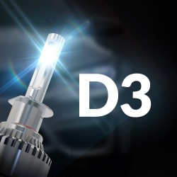 D3