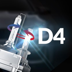 D4