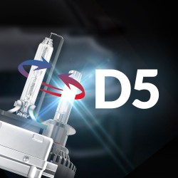 D5