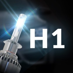 H1