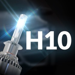 H10