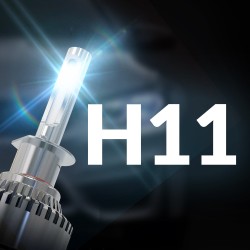 H11