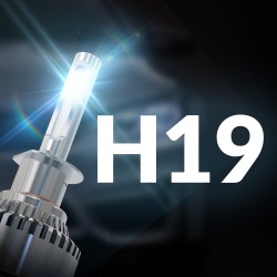 H19