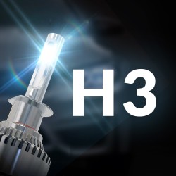 H3