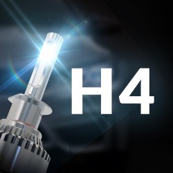 H4