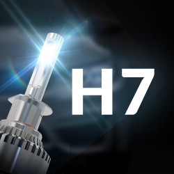 H7