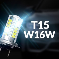 T15 W16W