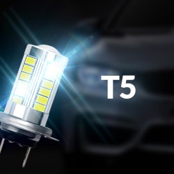 T5