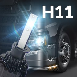 H11