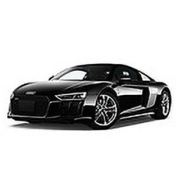 AUDI R8 (422, 423) (04/2007 07/2015)