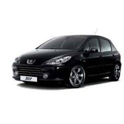 PEUGEOT 307 (3A/C) (08/2000 12/2012)