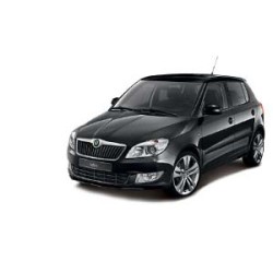 SKODA FABIA II Combi (545) (10/2007 12/2014)