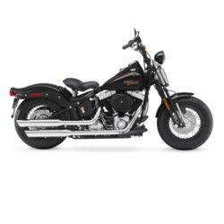 HARLEY-DAVIDSON CROSS BONES