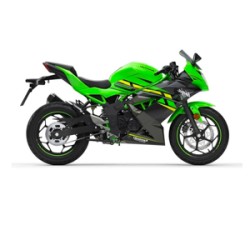 Kawasaki NINJA (124cc - 600cc)