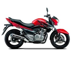 SUZUKI Moto INAZUMA