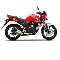 YAMAHA FZS