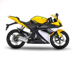 YAMAHA YZF-R