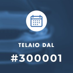 Telaio Dal #300001