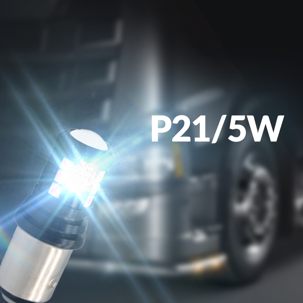 Lampadine P21/5W Truck 24V
