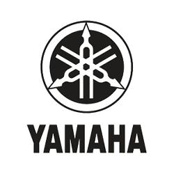 Lampadina Luce Targa per YAMAHA V-MAX Led T10 W5W Plug&Play